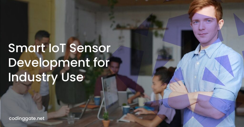 Smart IoT Sensor Development for Industry Use